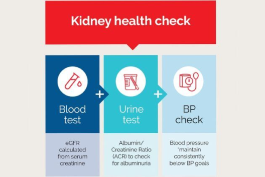 Kidney health check infographic, including Blood test, Urine test and BP Check