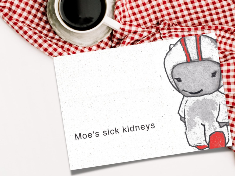 Book cover for Moe's sick kidneys