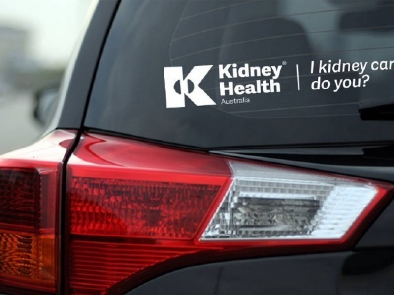 A kidney health sticker on a car rear window