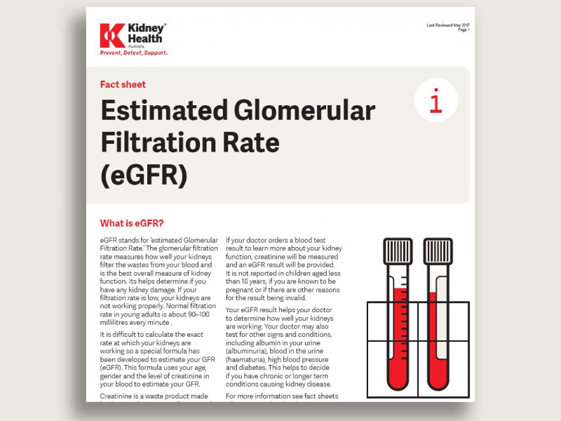 'Estimated Glomerular Filtration Rate' fact sheet cover page
