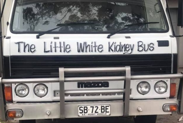 The little white kidney bus