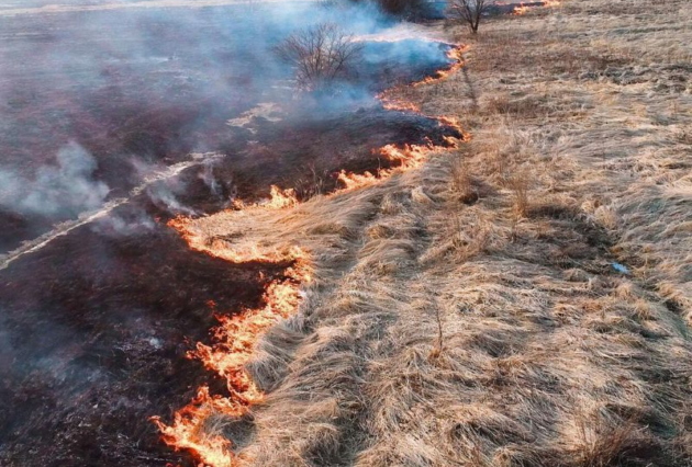 A grass fire crossing a field