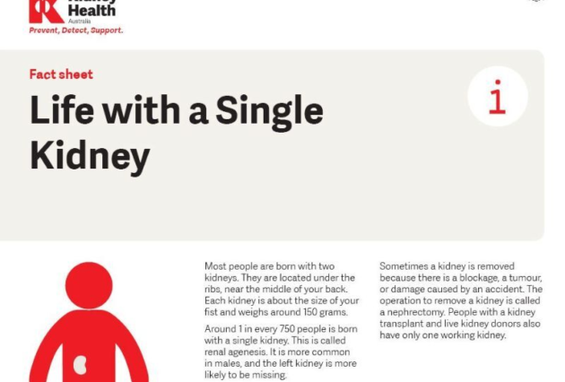 'Life with a single kidney' fact sheet cover page