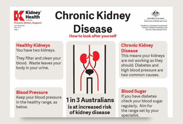 Chronic Kidney Disease factsheet