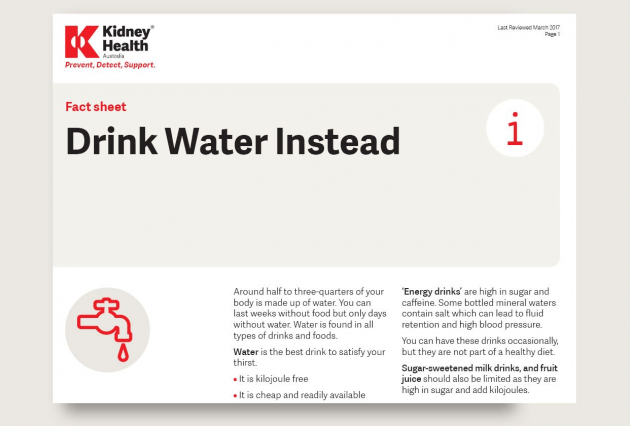 Drink Water Instead factsheet cover