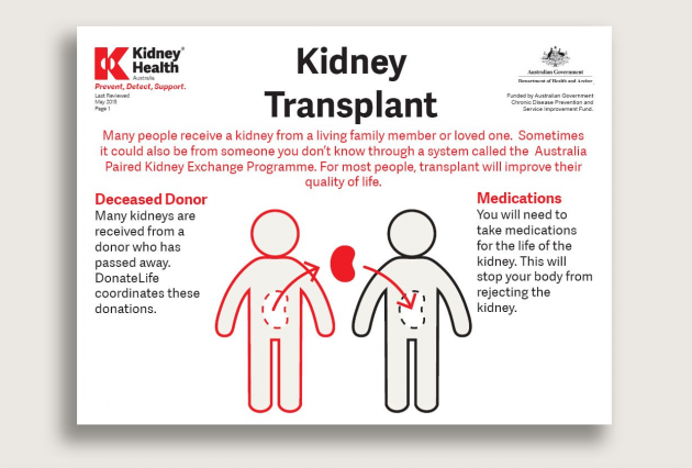 Kidney transplant factsheet cover