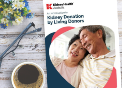 An Introduction to Kidney Donation by Living Donors - Bkt