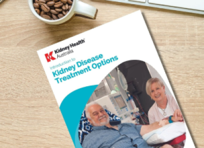 An Introduction to Kidney Disease Treatment Options